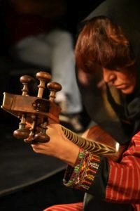 Saiteninstrument Tar